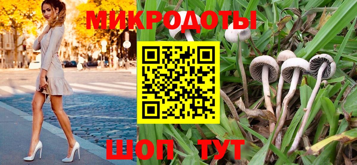 Псилоцибиновые грибы мицелий Ачинск